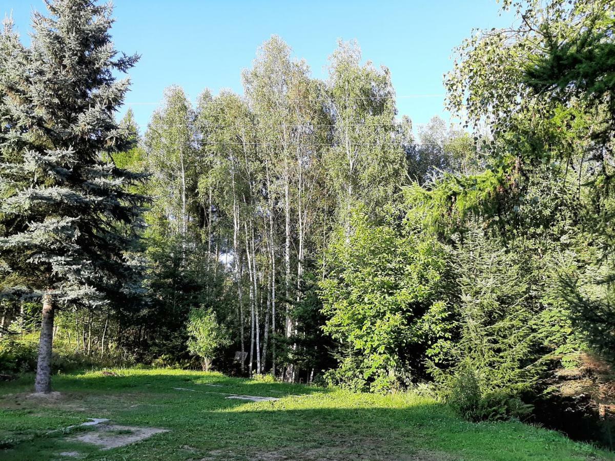 Willa Wadowicka Wadowice Dış mekan fotoğraf