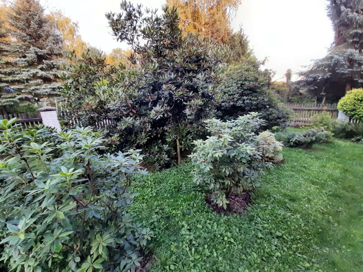 Willa Wadowicka Wadowice Dış mekan fotoğraf